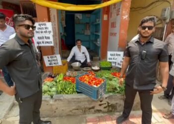 Tomato Bouncer Row