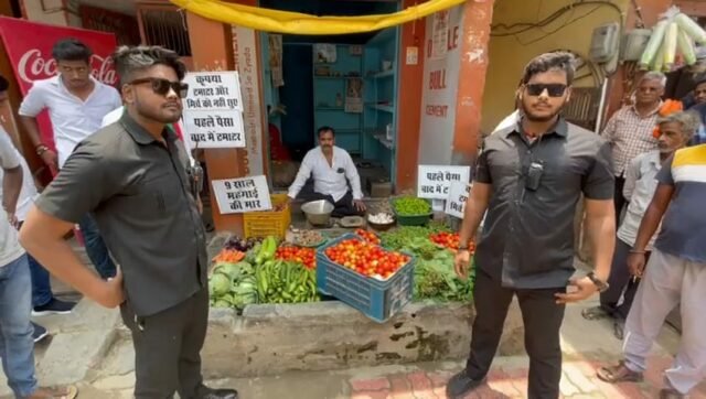 Tomato Bouncer Row
