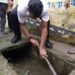 लखनऊ में नगर विकास मंत्री एके शर्मा ने स्वयं नाली की सफाई एवं श्रमदान कर की, नगर सफाई महाभियान की शुरूआत