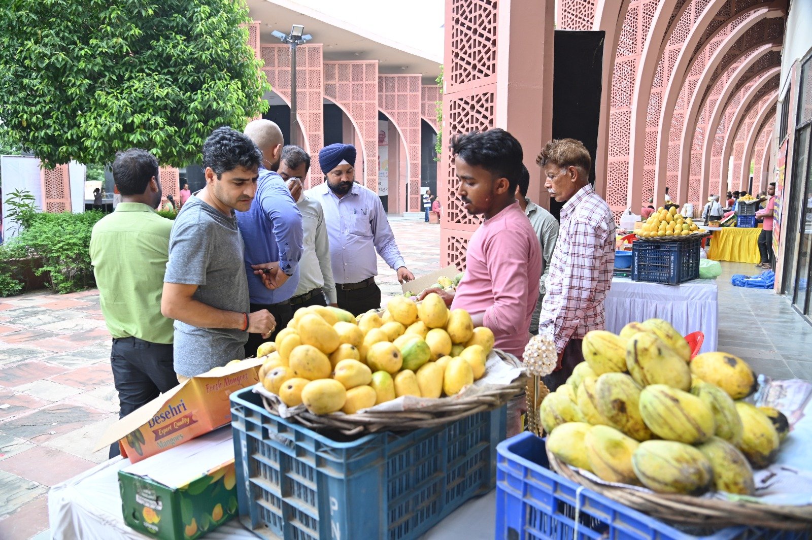 aam1