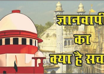 Gyanvapi Remains