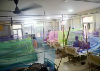 Dengue Disease