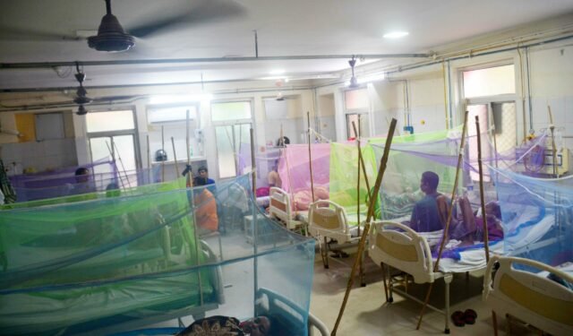 Dengue Disease