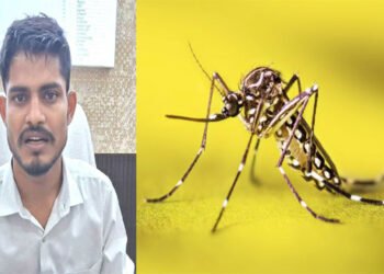 Dengue Disease
