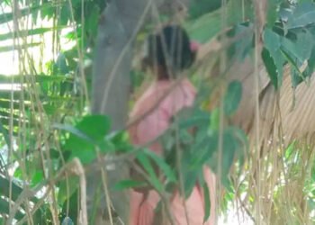 Hanging body found in BHU