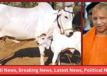 UP Government
