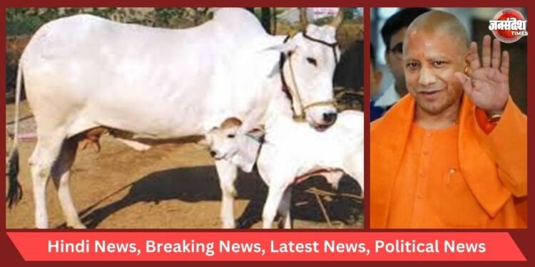 UP Government