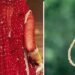 Bride hangout
