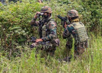 LOC News