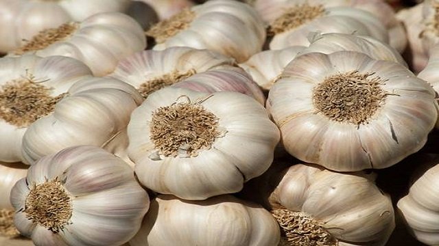 जानें कच्चा लहसुन के 6 औषधिये गुण