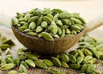 खाने का ज़यका बढ़ाने का काम तो छोटी इलायची करती है! लेकिन क्या आप जानते है इससे होने वाले 7 नुकसान ?