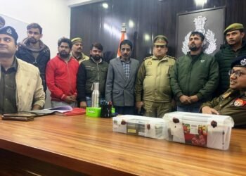 Robbers arrested