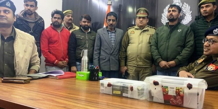 Robbers arrested