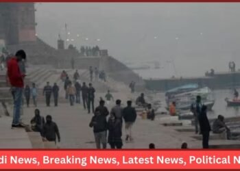 IMD Update