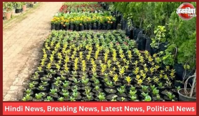 Mythological Plants
