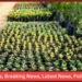 Mythological Plants