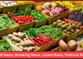 Vegetable Prices Increased