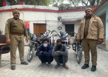 Thieves Arrested