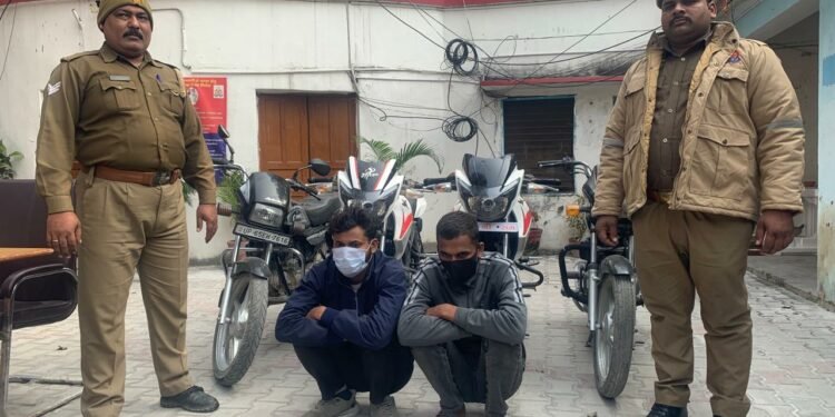 Thieves Arrested