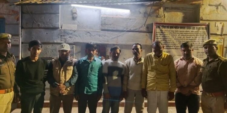 Gamblers Arrested