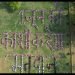Loksabha Election 2024