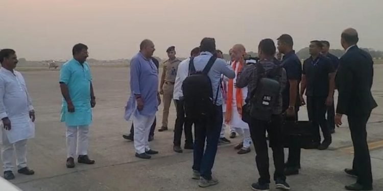 अमित