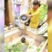 manoj tiwari