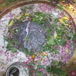 काशी के सोनारपुरा में Gauri Kedareshwar महादेव, यहां शिव स्वयं ग्रहण करते हैं खिचड़ी का भोग, जानिए क्या है मान्यता Gauri Kedareshwar