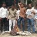NSUI