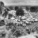 India-Pak Partition