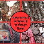 Varanasi: पीपल के पेड़ पर सिक्का चिपकाकर चुकाया जाता है पितरों का उधार, अतृप्त आत्माओं का ठिकाना है हर कील-हर सिक्का varanasi