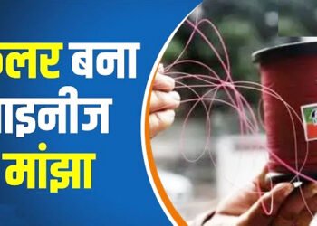 Chandauli