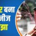 Chandauli