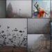 varanasi weather news