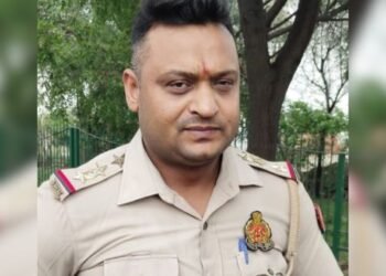 Fake Inspector