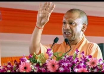 up cm