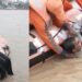Varanasi News