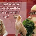 dog news