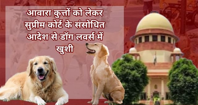 dog news