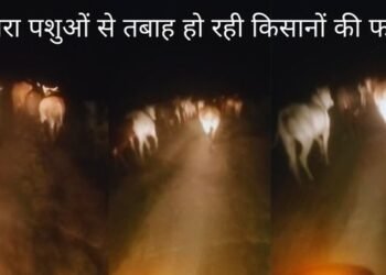Ghazipur