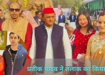 UP Politics News
