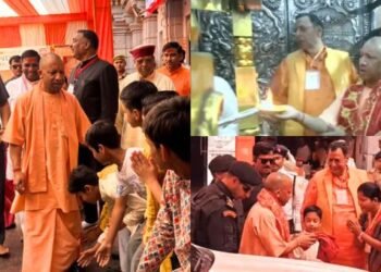 cm yogi