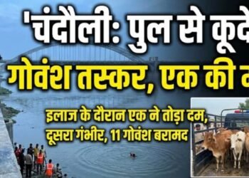 chandauli