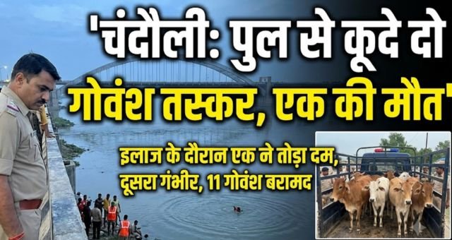 chandauli