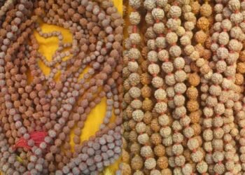 kashi