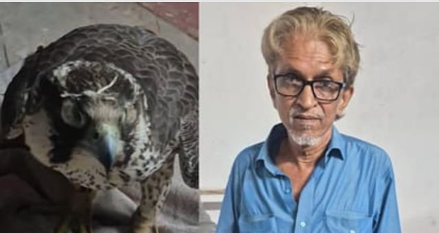 Lucknow में प्रतिबंधित पक्षियों के तस्कर को STF ने किया गिरफ्तार, 7 दुर्लभ बाज बरामद, कीमत करीब 14 करोड़ रुपये
