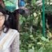 Varanasi: तमाम प्रयासों के बाद भी पकड़ से बाहर तेंदुआ, छावनी क्षेत्र में दहशत बरकरार, स्कूल में लगाए गए पिंजड़े